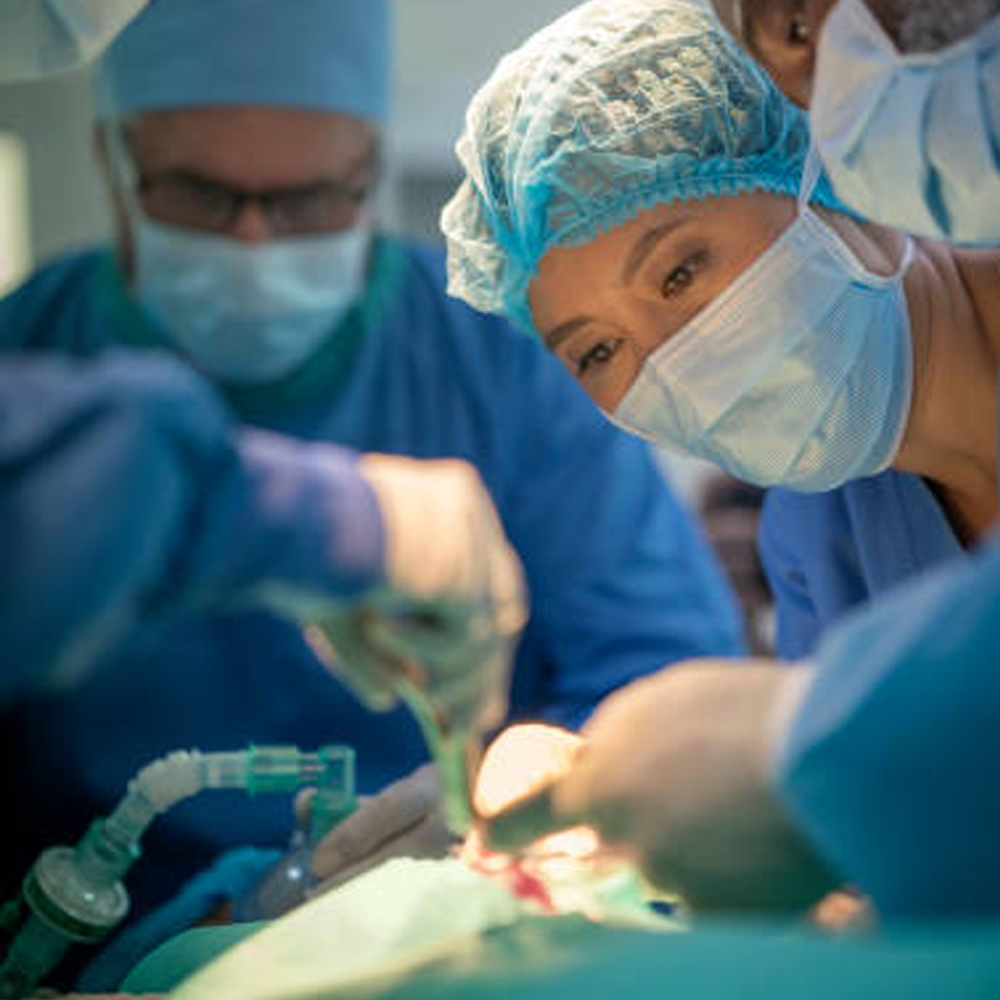 Cold-Stored Platelets 